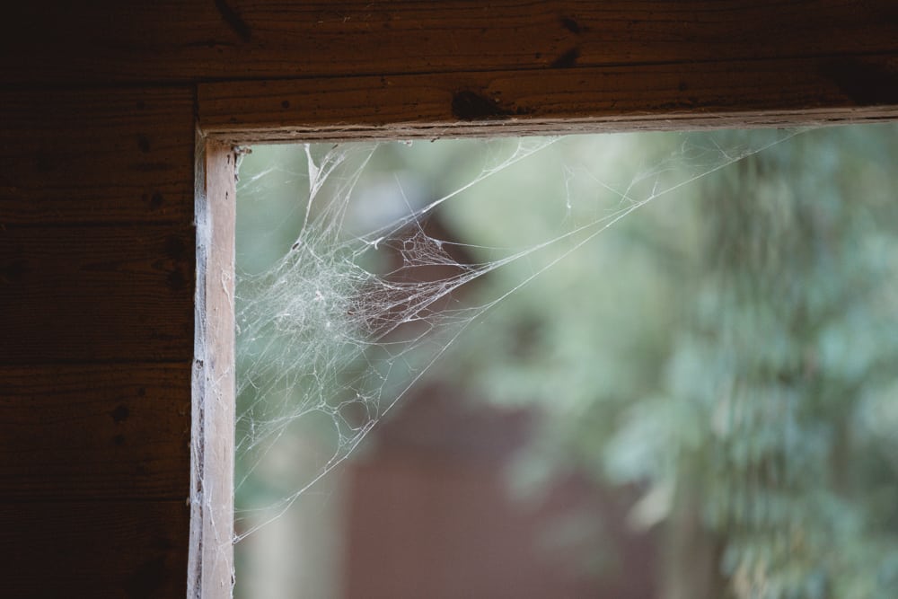 spider web farm milton georgia