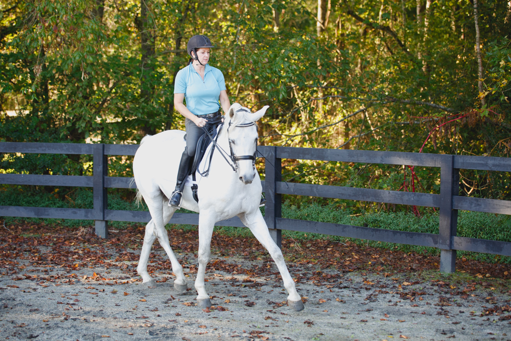 Dressage Kathy Duffy Charming