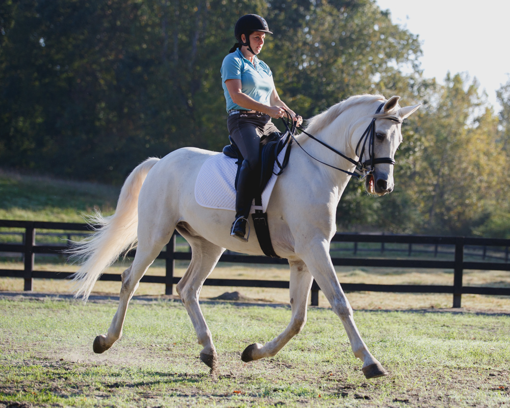 Kathy Duffy dressage Charming Milton Georgia horse farm