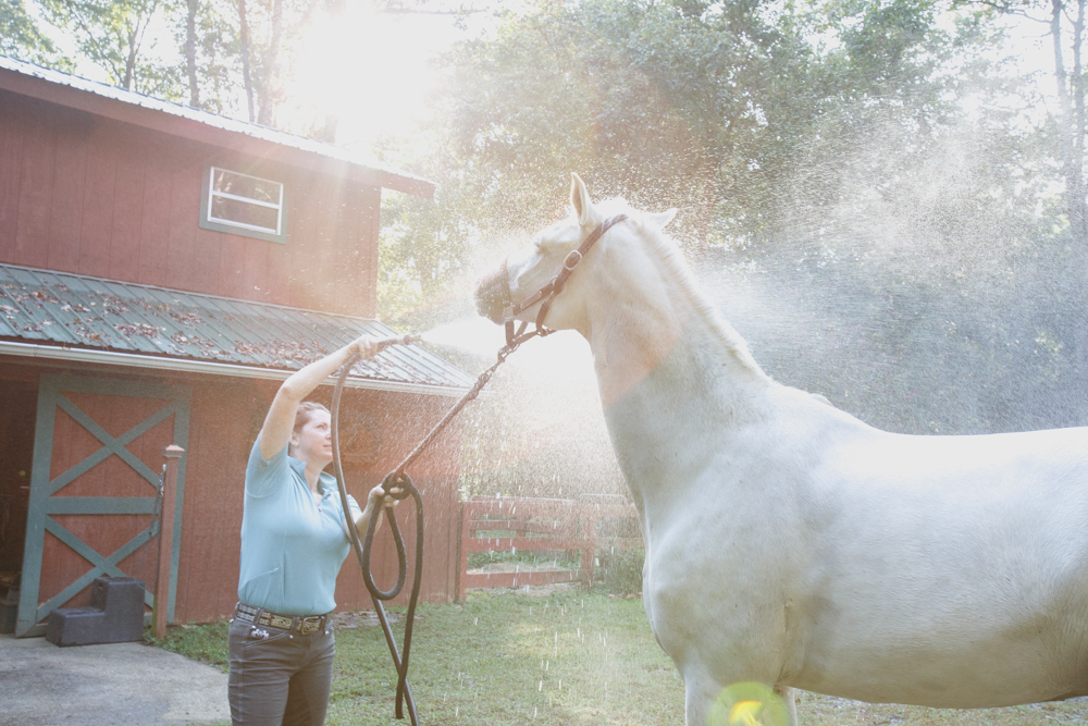 Kathy Duffy Charming washing off sunflare