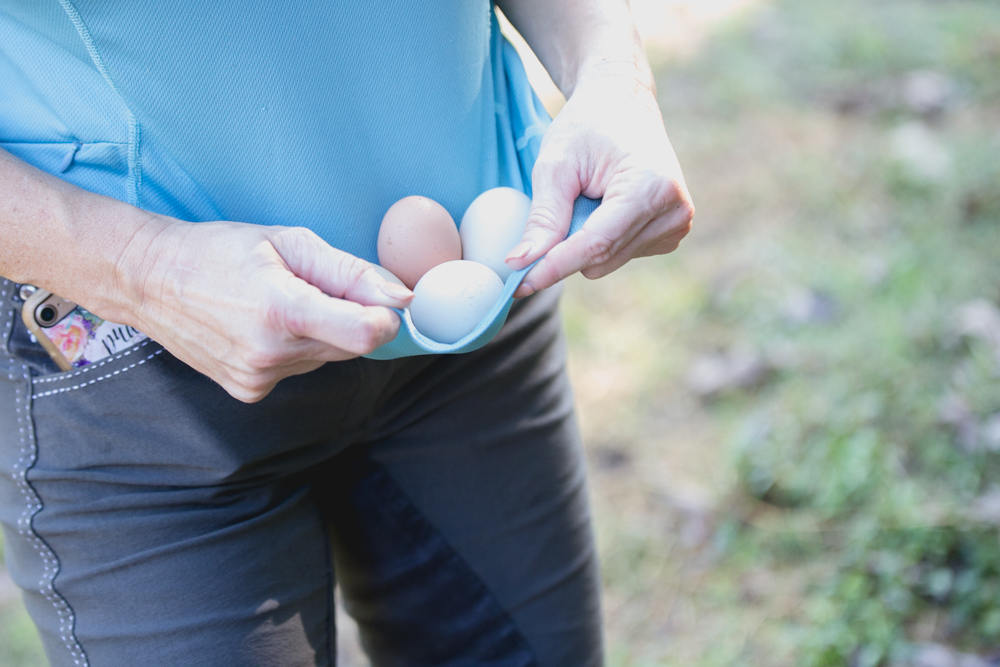 Kathy Duffy farm Milton Georgia fresh eggs chickens