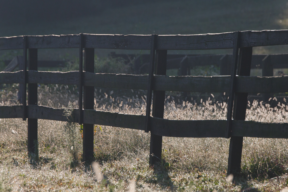 Horse fence on Kathy Duffy's farm in Milton Georgia.